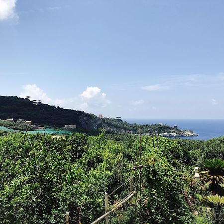 Faraglioni Di Sorrento Guesthouse Exterior photo